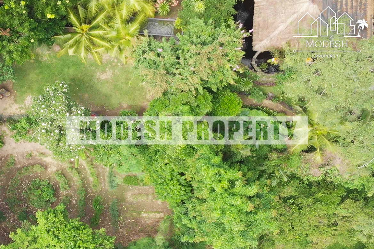 Land,Leasehold Sale,1141