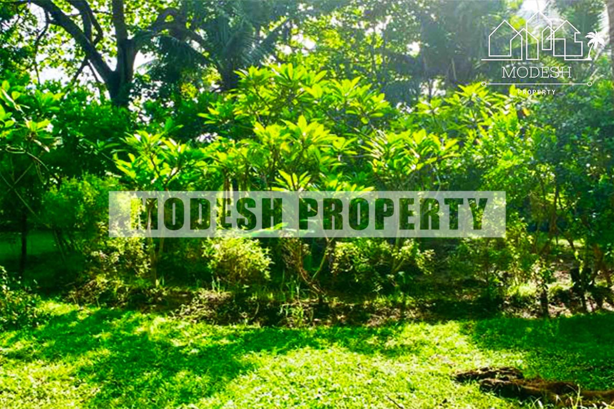 Land,Leasehold Sale,1141