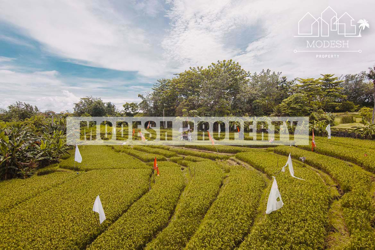 2 Bedrooms Bedrooms, ,2 BathroomsBathrooms,Villa,Leasehold Sale,1146