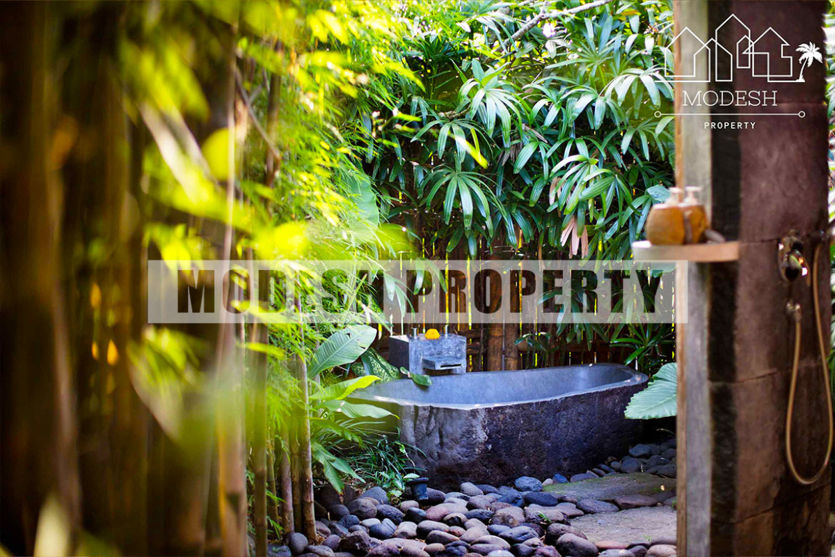 4 Bedrooms Bedrooms, ,4 BathroomsBathrooms,Villa,Monthly Rent,1156