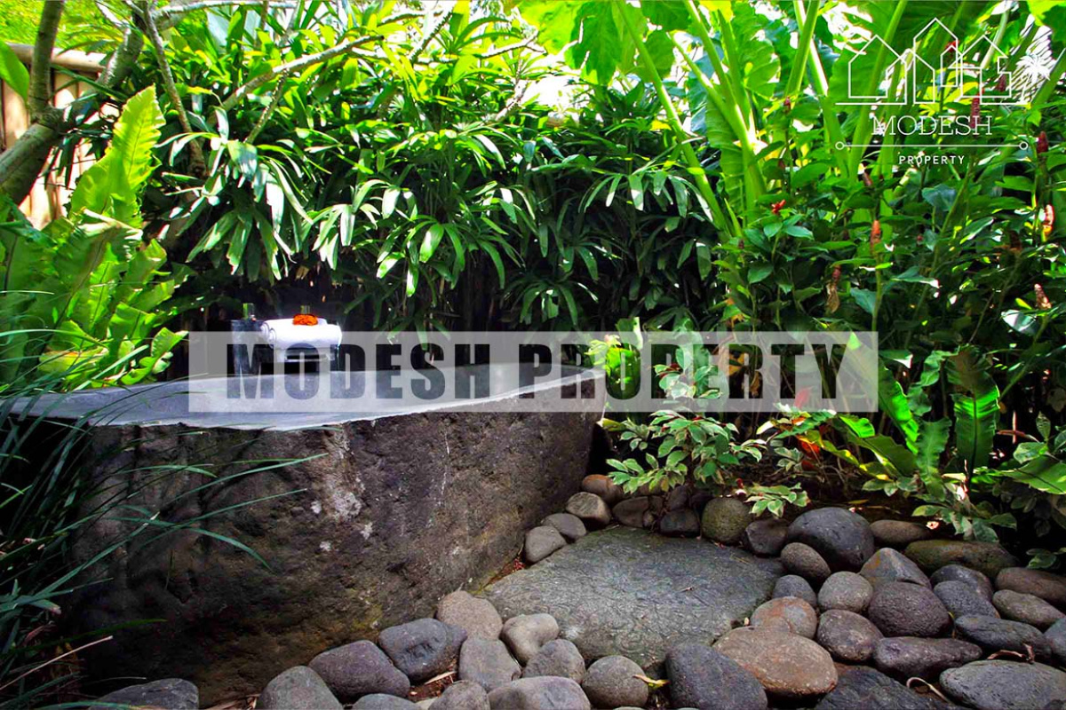 4 Bedrooms Bedrooms, ,4 BathroomsBathrooms,Villa,Monthly Rent,1156