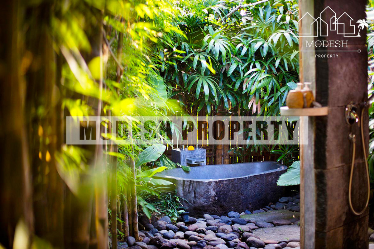 5 Bedrooms Bedrooms, ,5 BathroomsBathrooms,Villa,Monthly Rent,1159