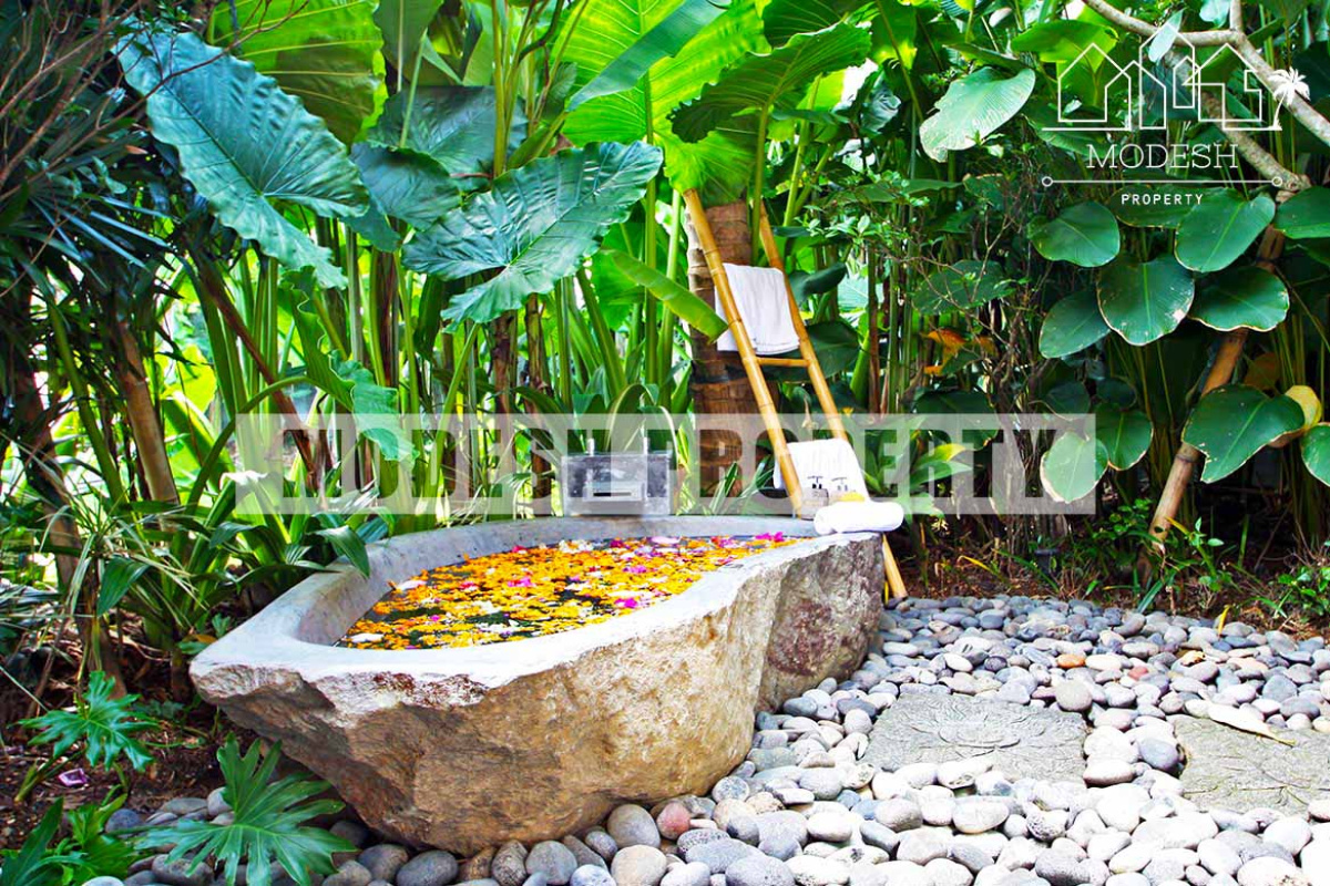 5 Bedrooms Bedrooms, ,5 BathroomsBathrooms,Villa,Monthly Rent,1159
