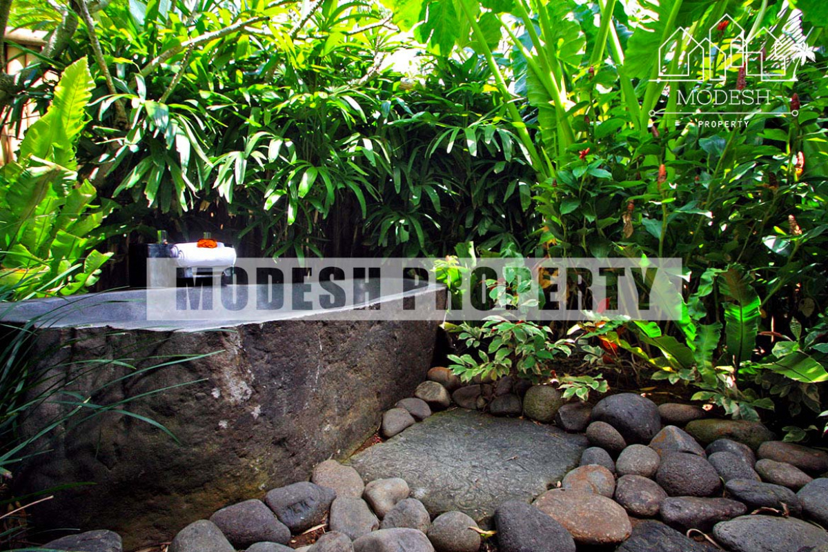 5 Bedrooms Bedrooms, ,5 BathroomsBathrooms,Villa,Monthly Rent,1159