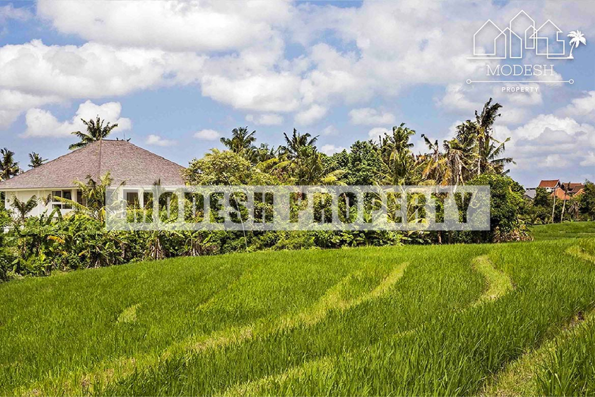 5 Bedrooms Bedrooms, ,5 BathroomsBathrooms,Villa,Yearly Rent,1169