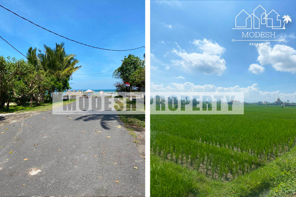 4 Bedrooms Bedrooms, ,4 BathroomsBathrooms,Villa,Yearly Rent,1172