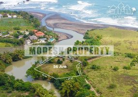Land,Freehold Sale,1180