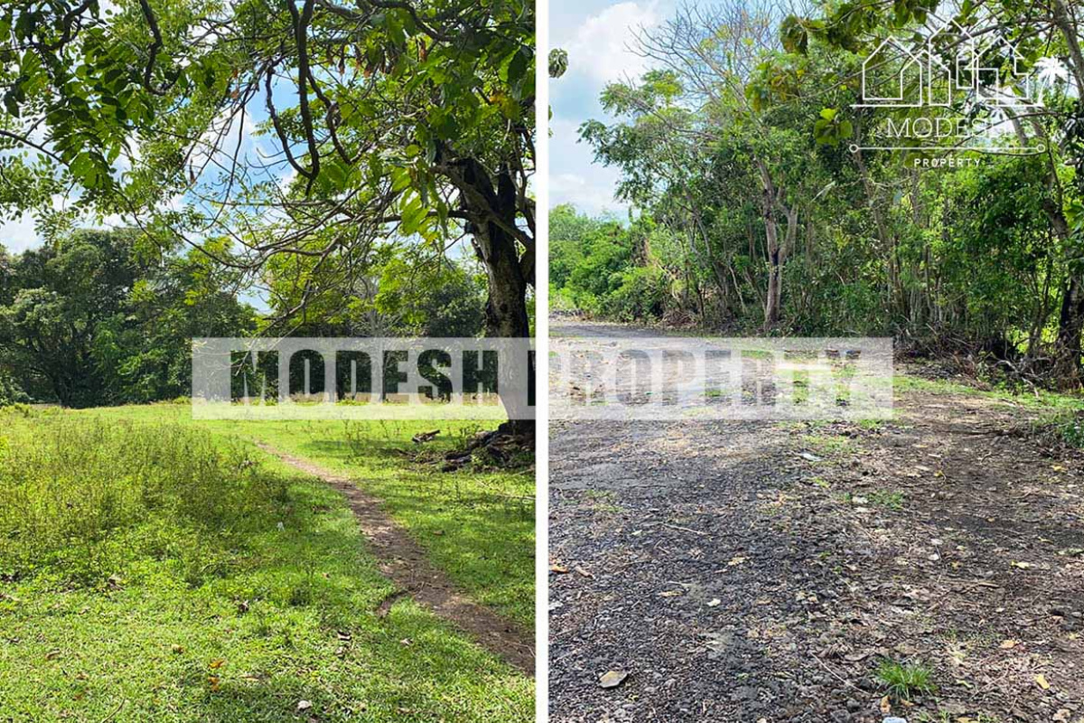 Land,Freehold Sale,1180