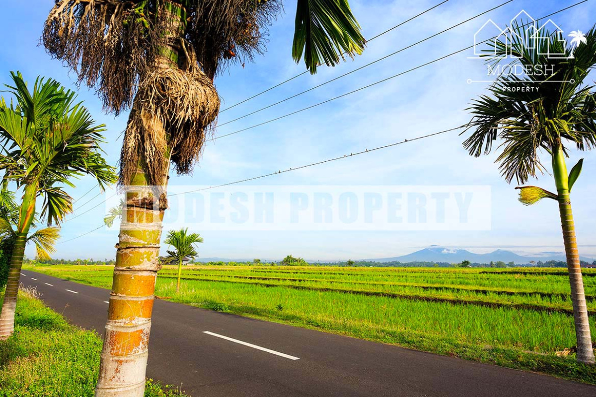 5 Bedrooms Bedrooms, ,5 BathroomsBathrooms,Villa,Freehold Sale,1191