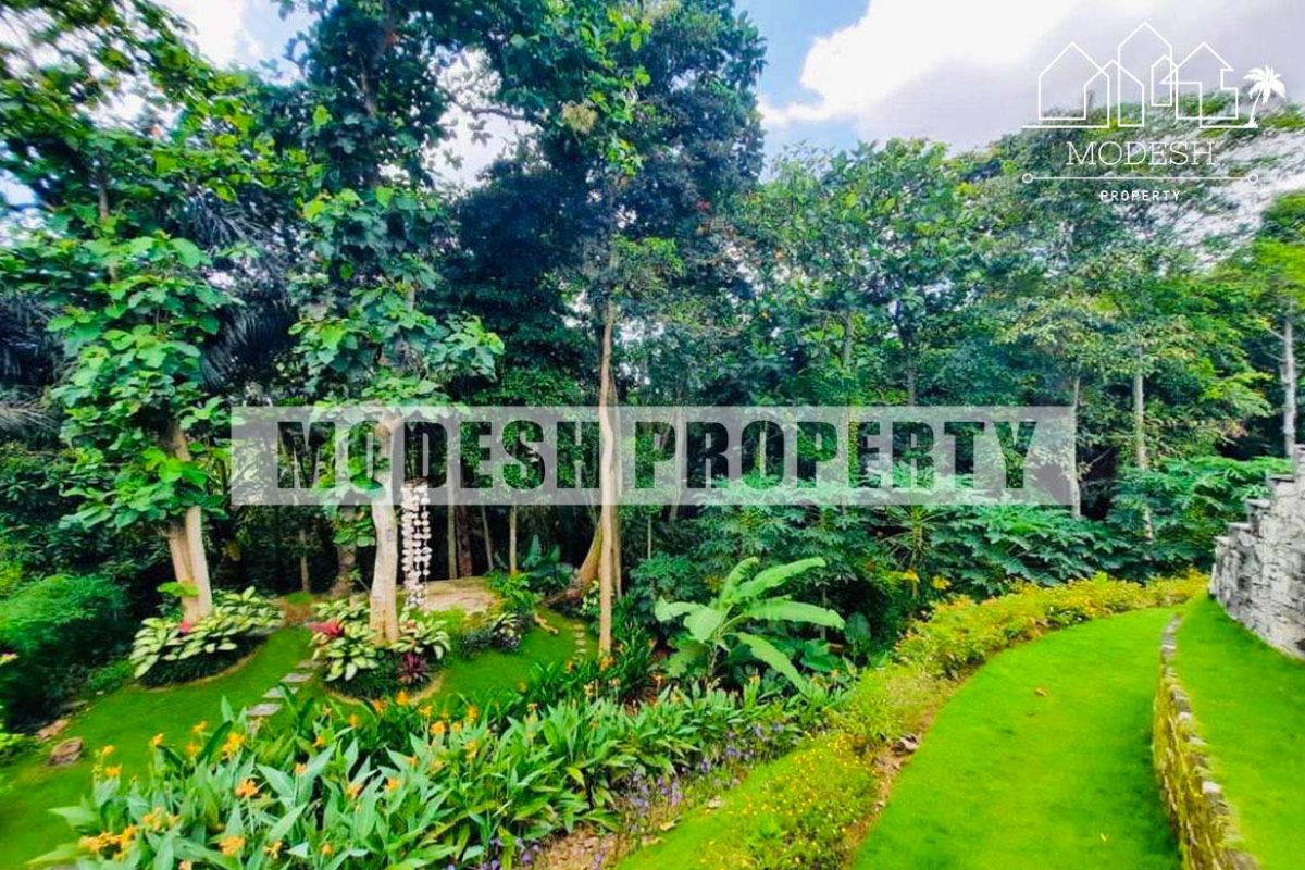 tabanan, 3 Bedrooms Bedrooms, ,3 BathroomsBathrooms,Villa,Leasehold Sale,tabanan,1206
