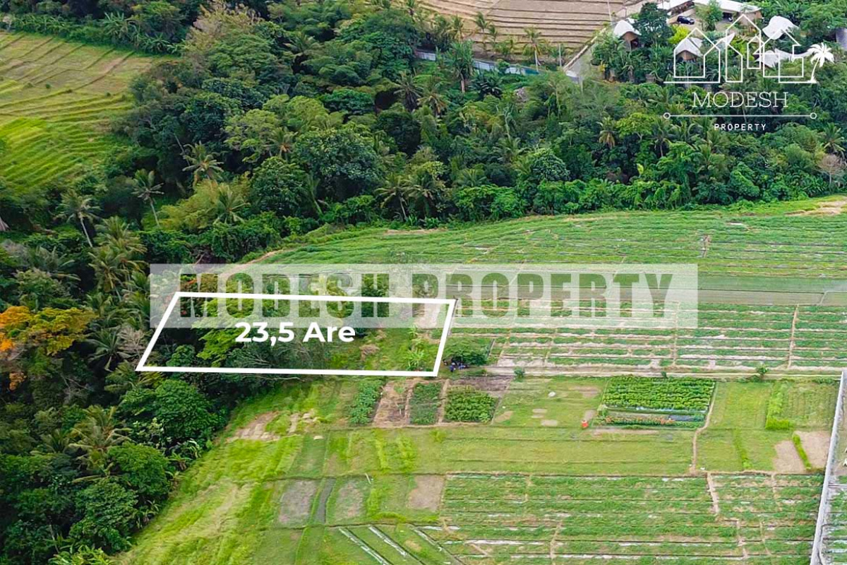 Land,Freehold Sale,1208