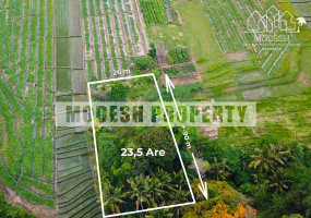 Land,Freehold Sale,1208
