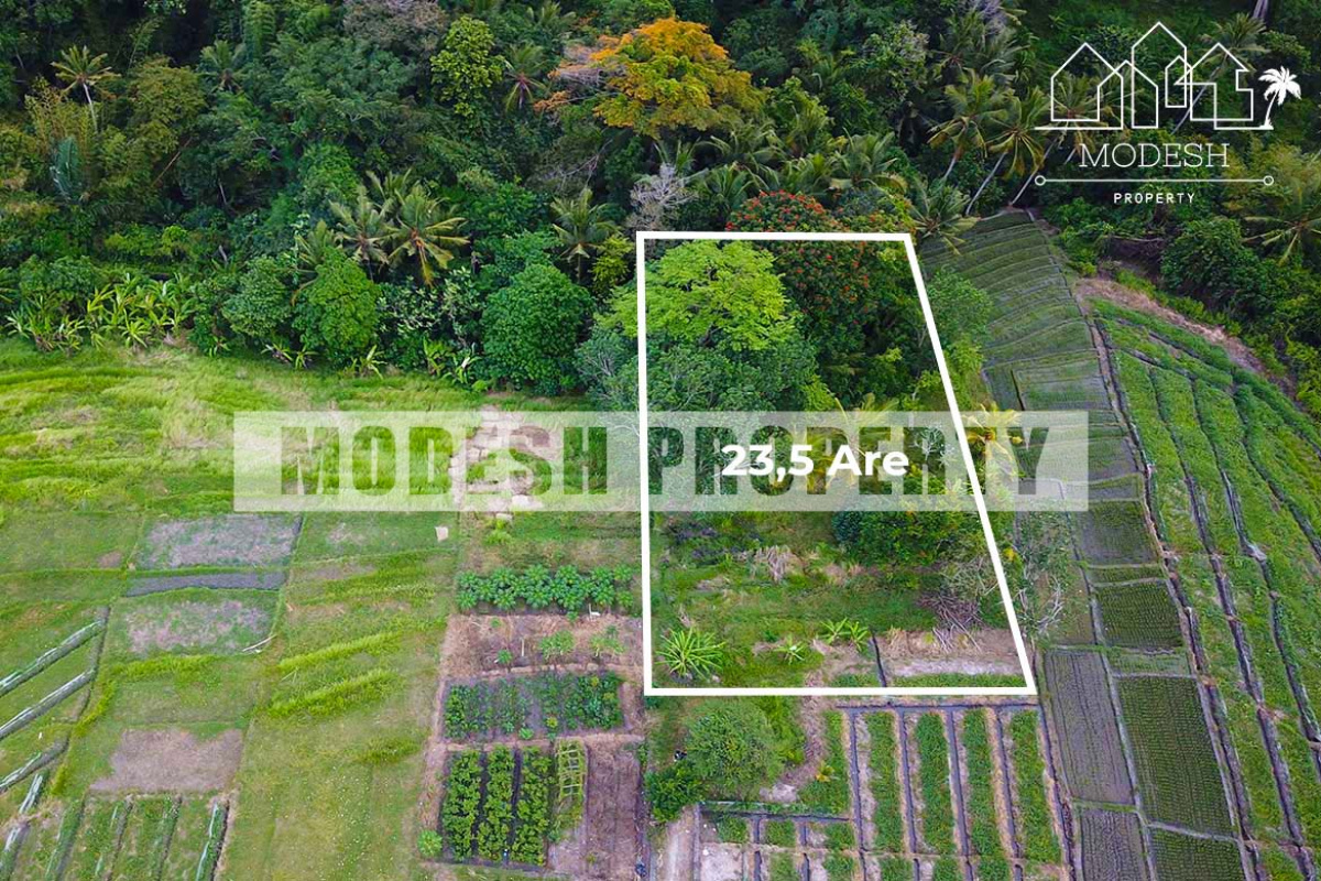 Land,Freehold Sale,1208