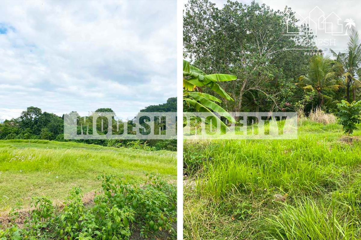 Land,Freehold Sale,1208