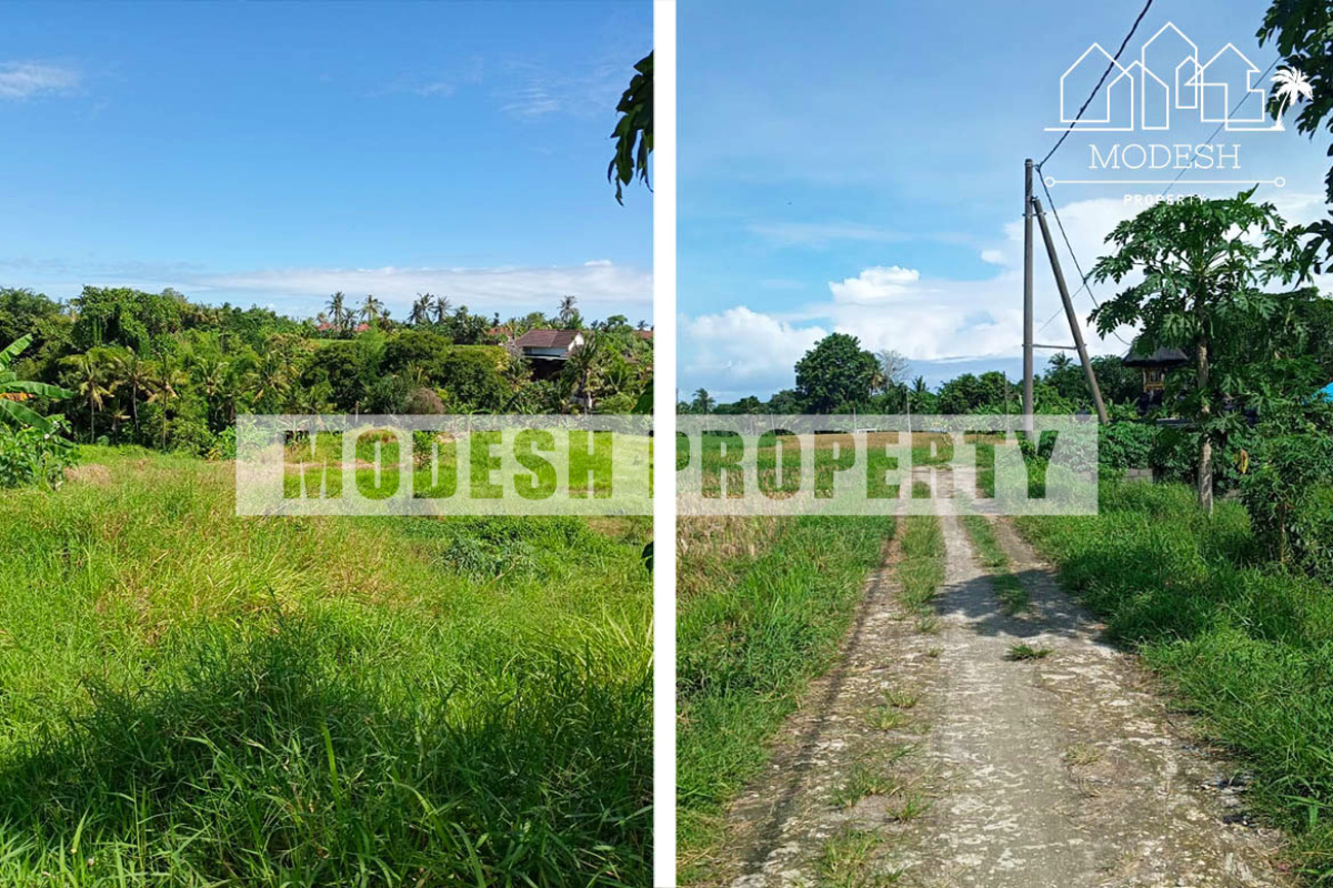 Land,Freehold Sale,1209