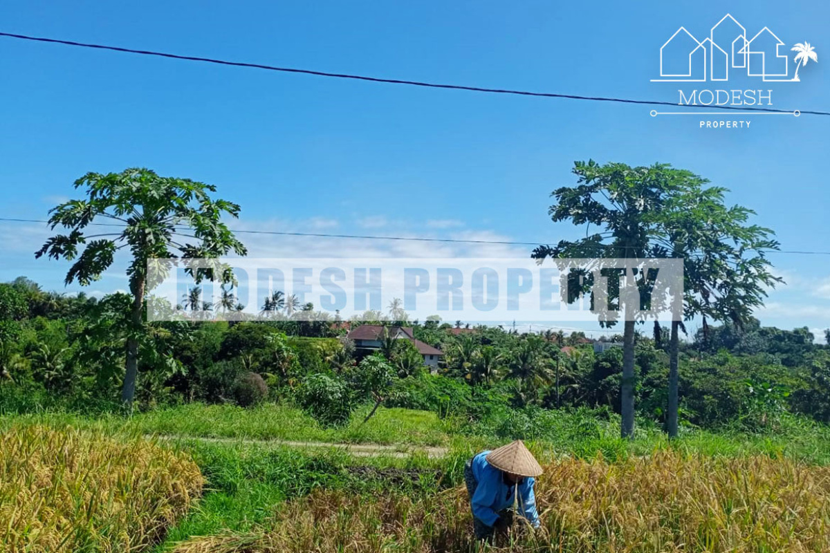 Land,Freehold Sale,1210