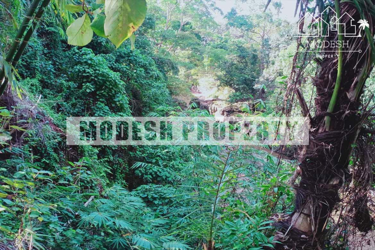 Land,Freehold Sale,1212