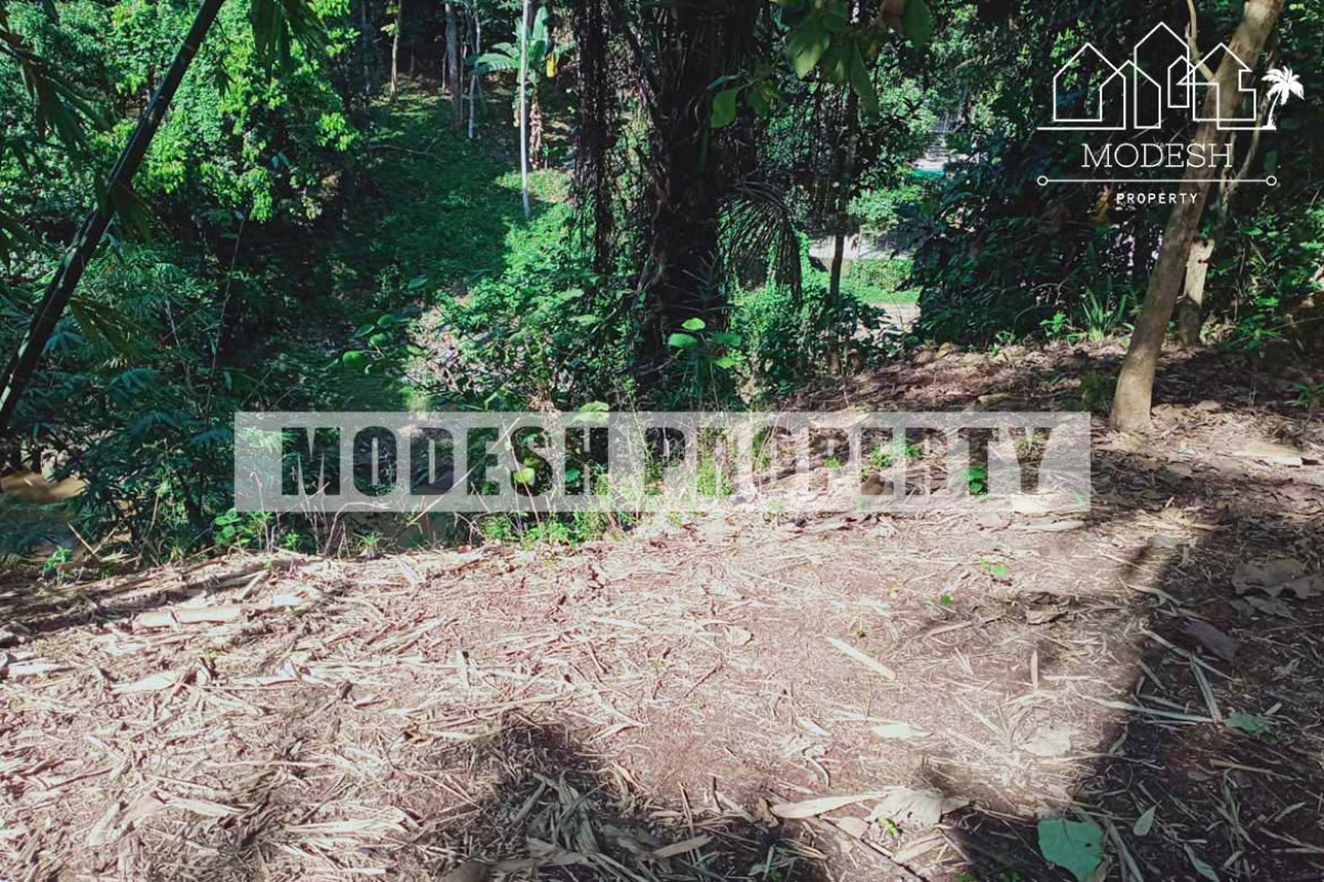 Land,Freehold Sale,1212