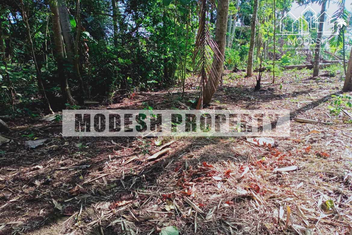 Land,Freehold Sale,1212