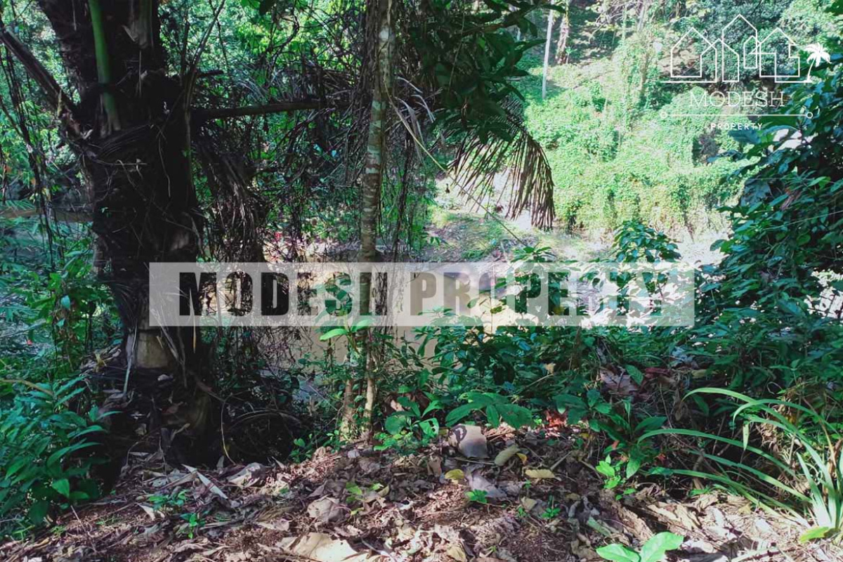 Land,Freehold Sale,1212