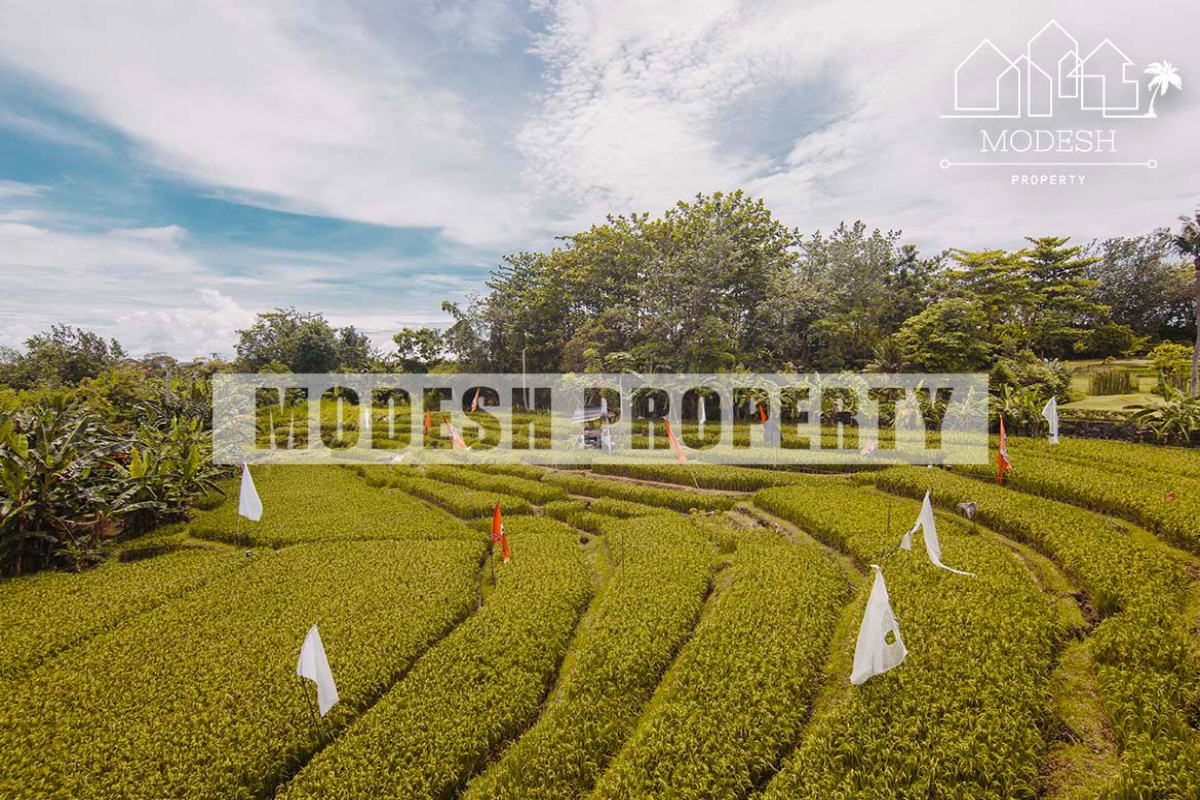 1 Bedroom Bedrooms, ,1 BathroomBathrooms,Apartment,Leasehold Sale,1223