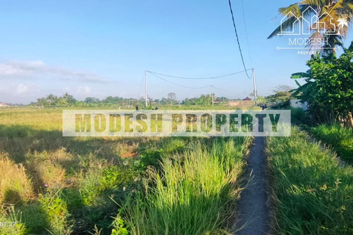 Land,Freehold Sale,1225