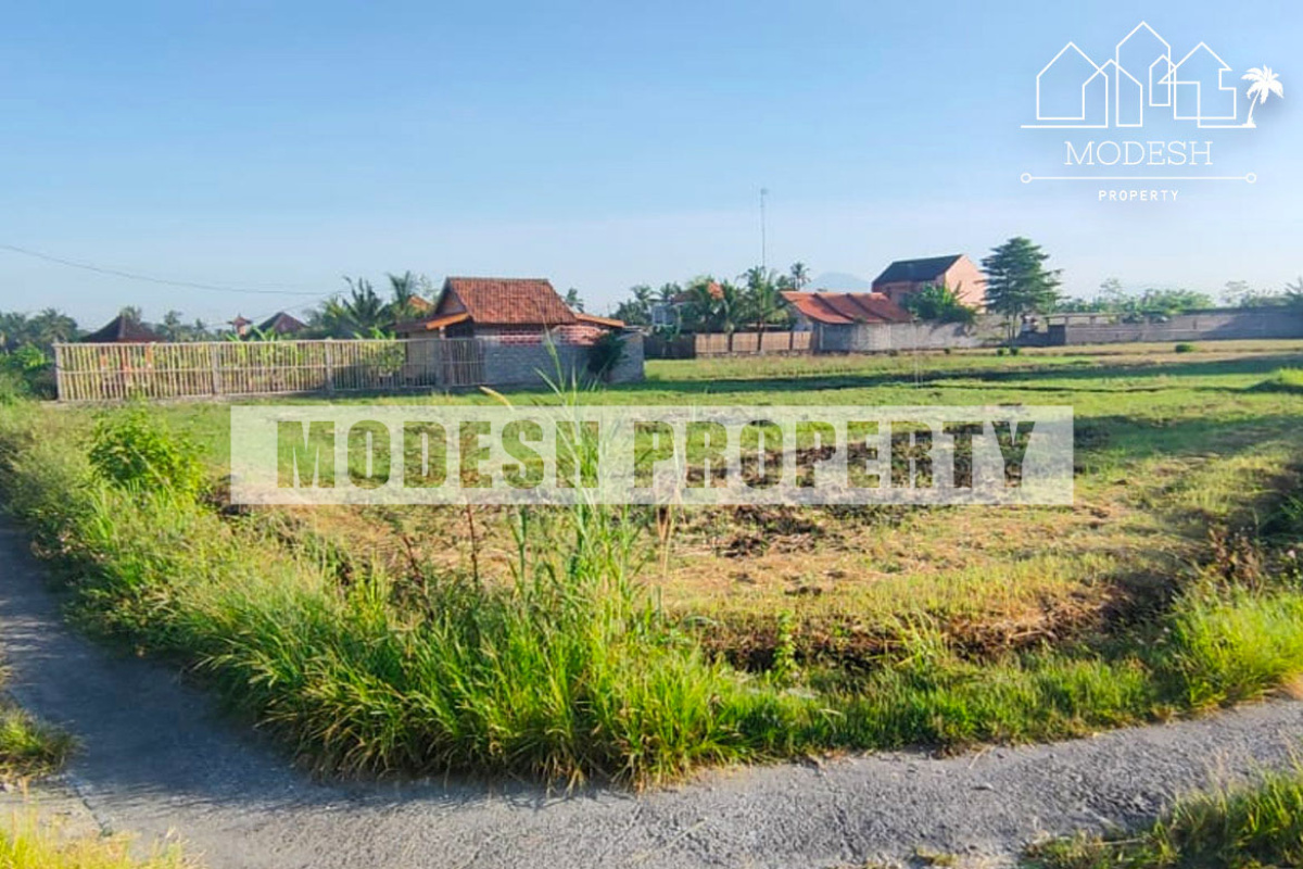 Land,Freehold Sale,1225