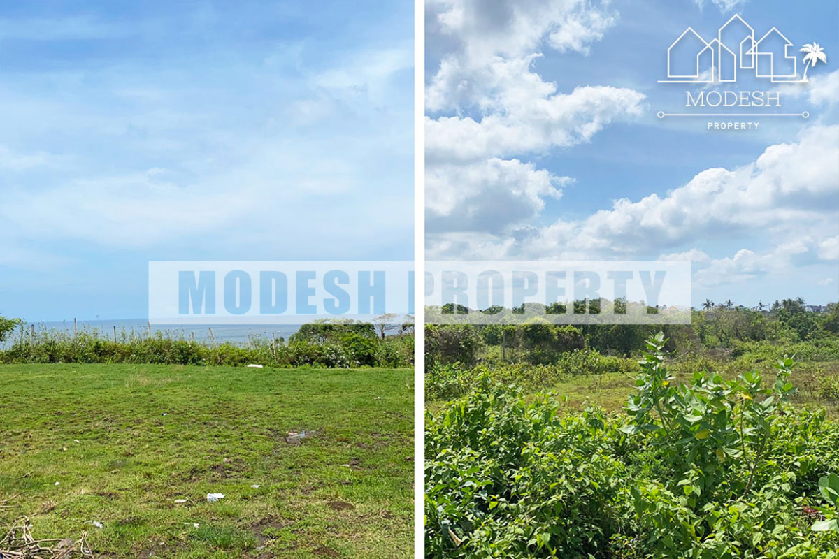 Land,Freehold Sale,1228