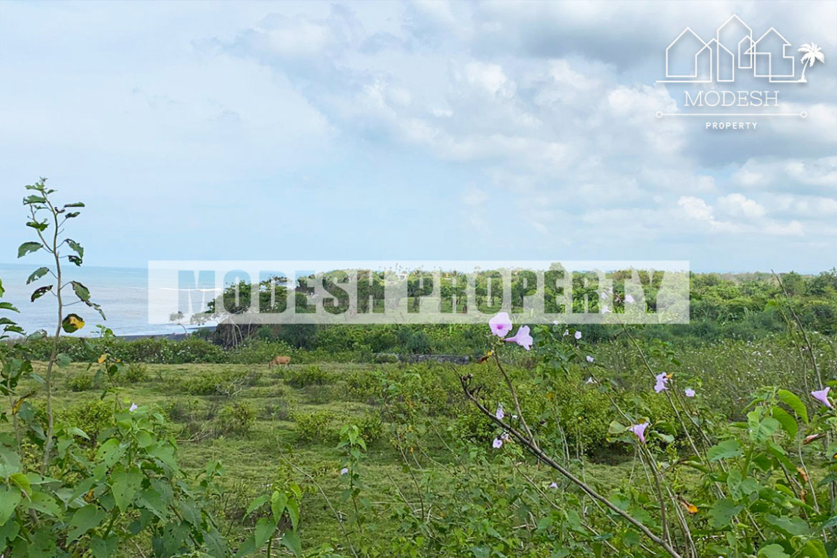 Land,Freehold Sale,1228