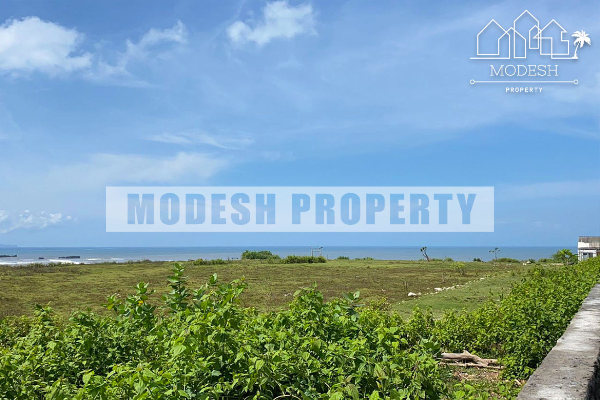 Land,Freehold Sale,1228