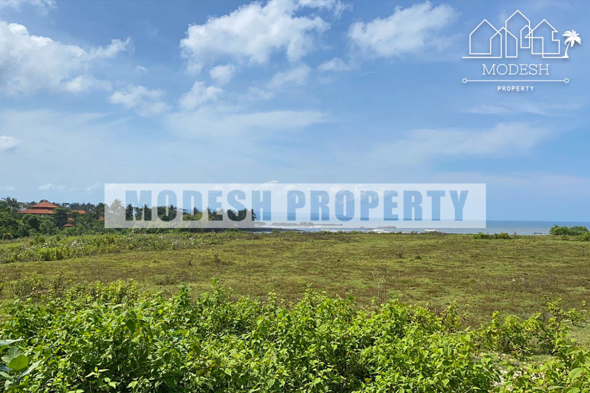 Land,Freehold Sale,1228