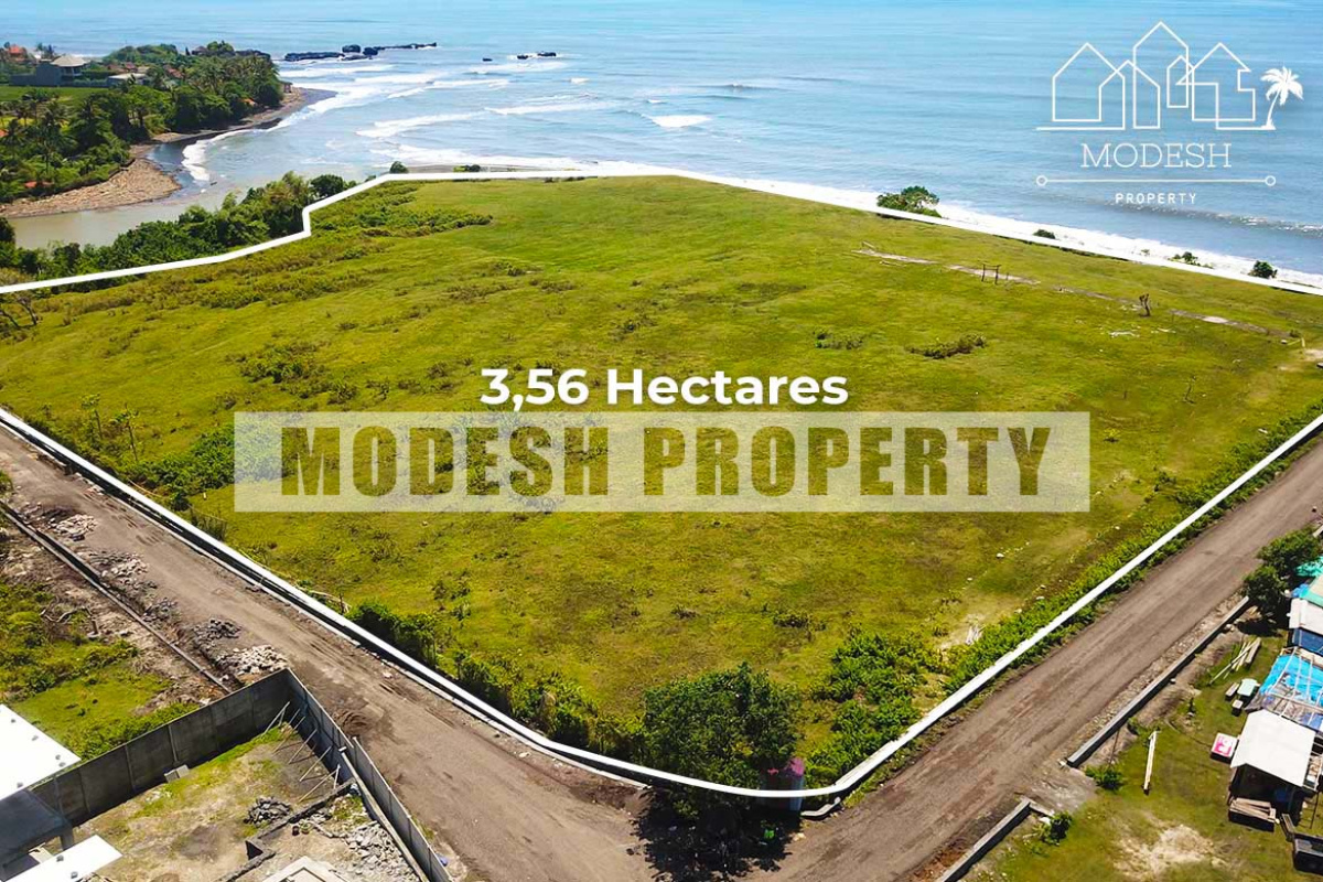 Land,Freehold Sale,1228