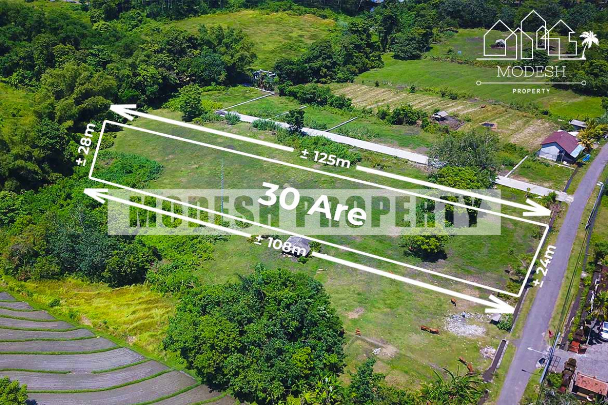 Land,Freehold Sale,1230