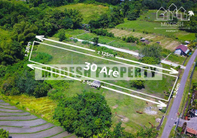 Land,Freehold Sale,1230
