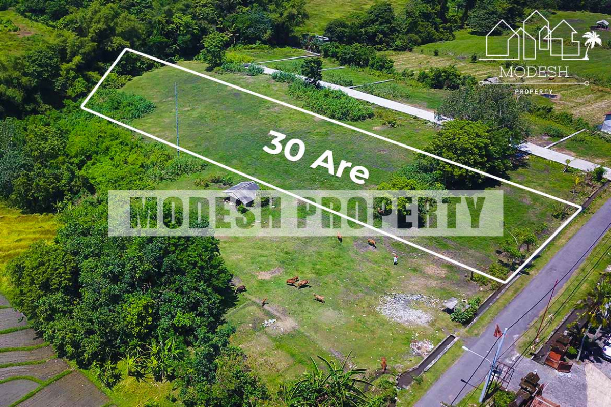 Land,Freehold Sale,1230