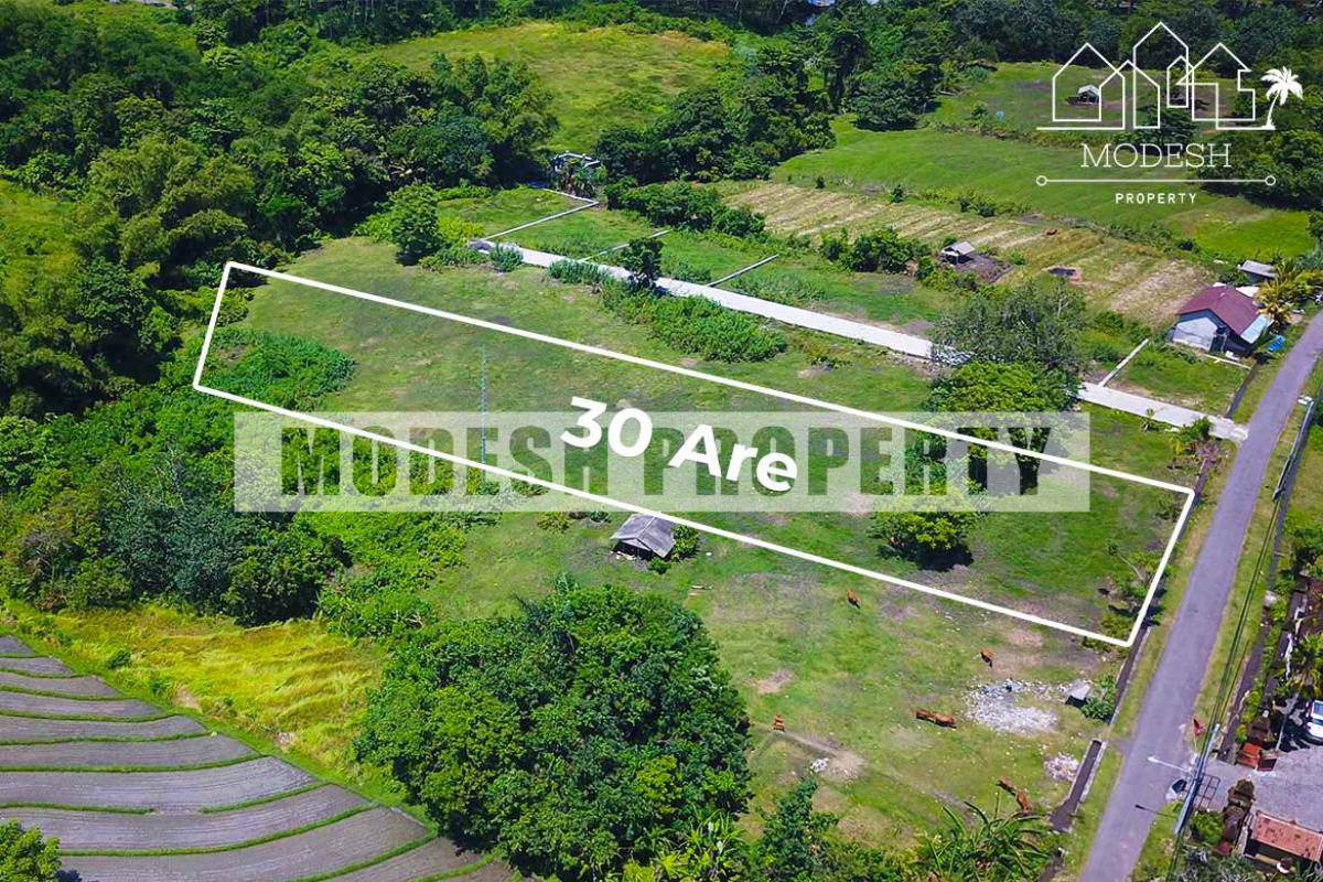 Land,Freehold Sale,1230