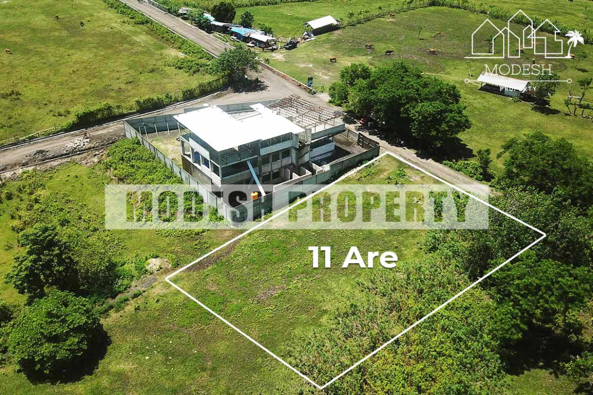 Land,Freehold Sale,1243