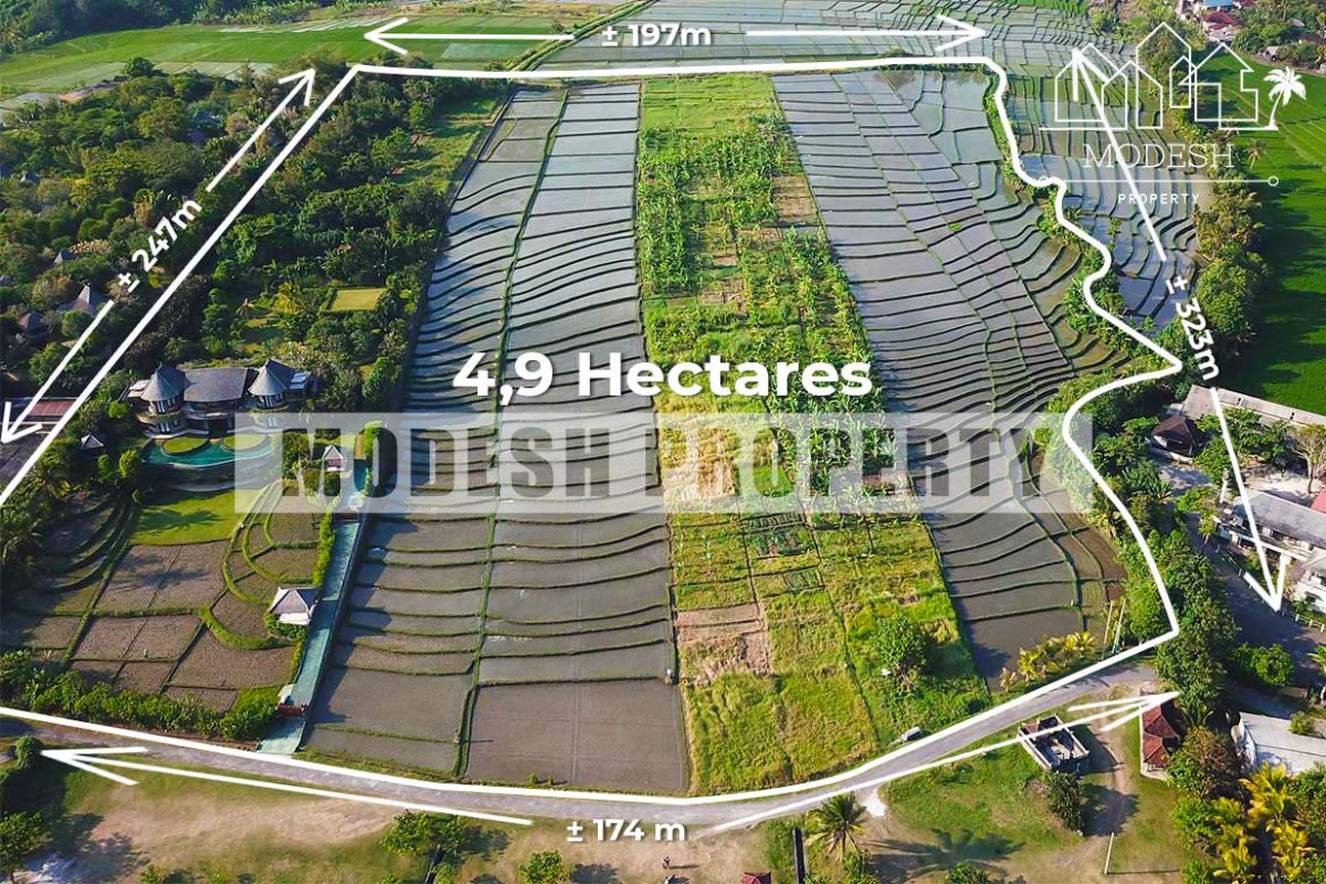 Land,Freehold Sale,1244