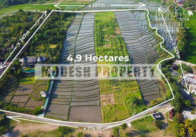 Land,Freehold Sale,1244