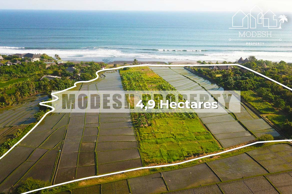 Land,Freehold Sale,1244