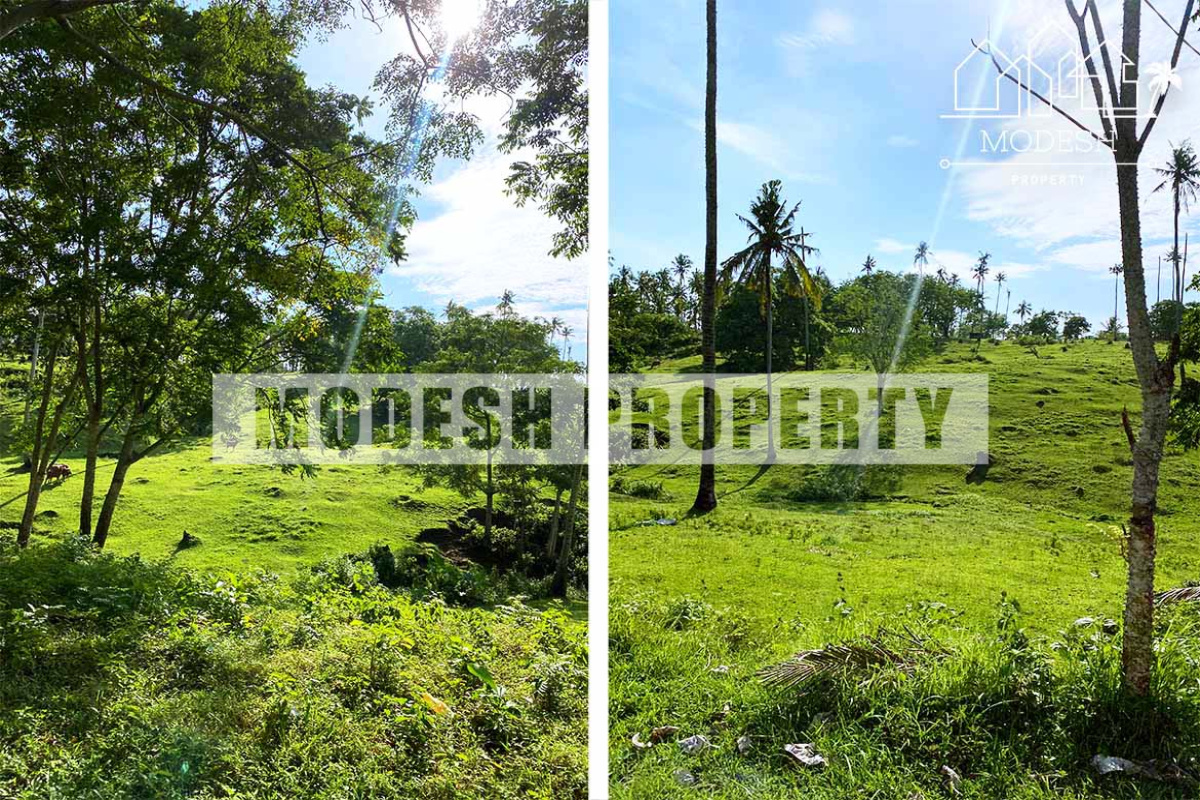 Land,Freehold Sale,1247