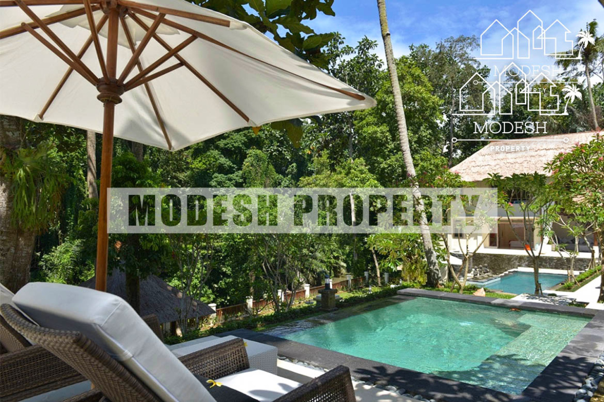 7 Bedrooms Bedrooms, ,6 BathroomsBathrooms,Villa,Leasehold Sale,1253