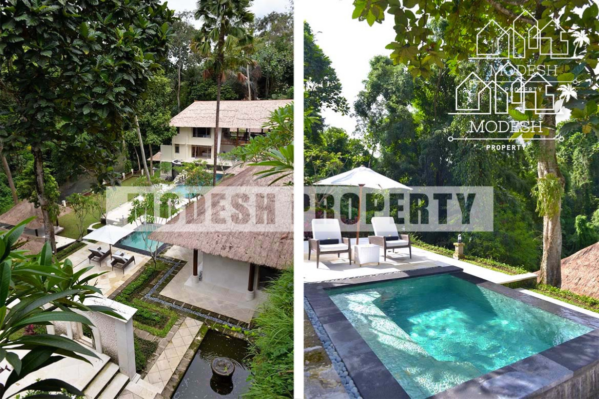 7 Bedrooms Bedrooms, ,6 BathroomsBathrooms,Villa,Leasehold Sale,1253