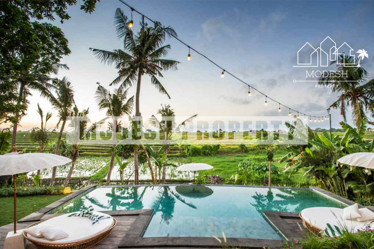 15 Bedrooms Bedrooms, ,15 BathroomsBathrooms,Villa,Leasehold Sale,1268