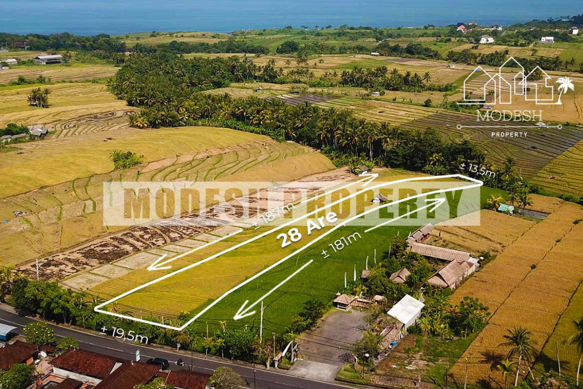 Land,Freehold Sale,1270