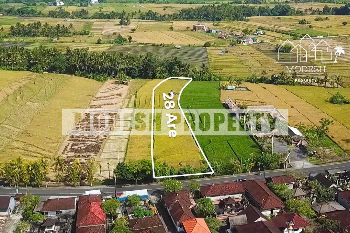 Land,Freehold Sale,1270