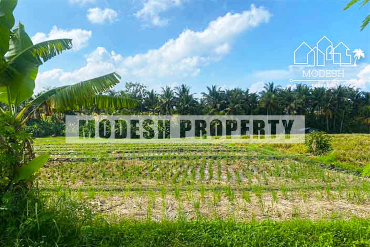 Land,Leasehold Sale,1272