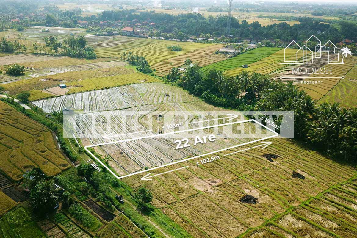 Land,Freehold Sale,1273