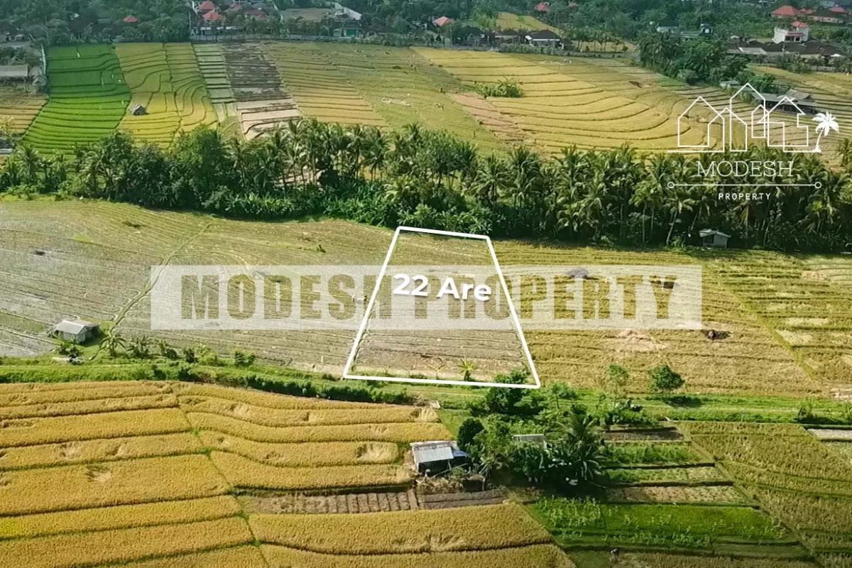 Land,Freehold Sale,1273