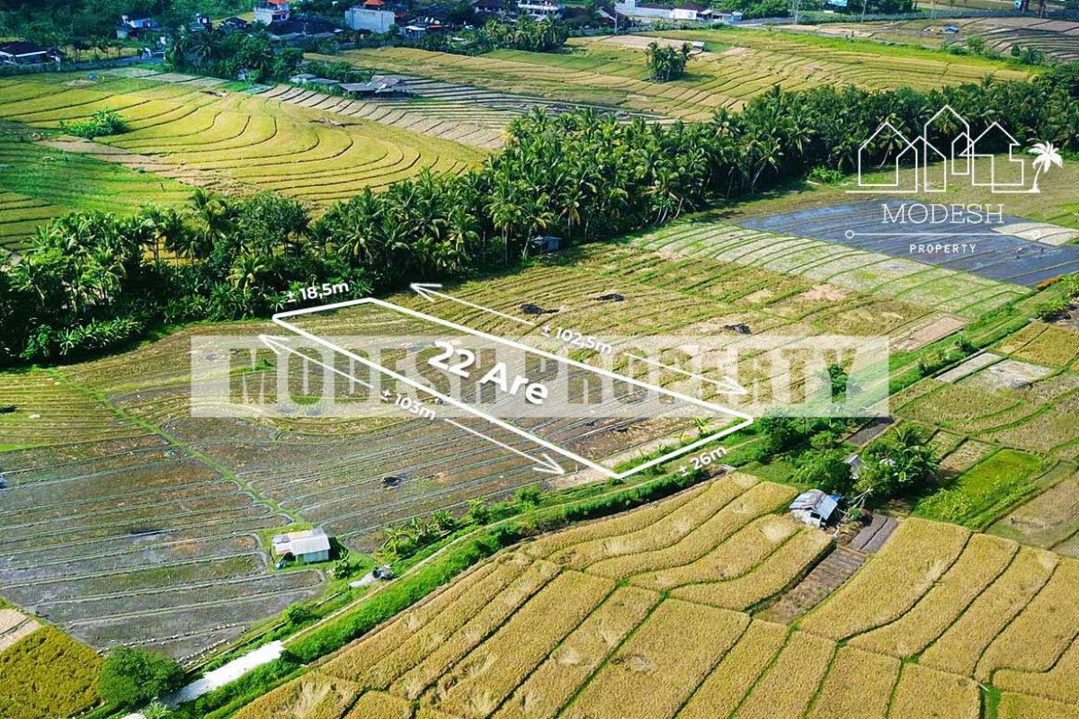 Land,Freehold Sale,1273